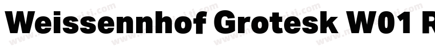 Weissennhof Grotesk W01 Rgular字体转换